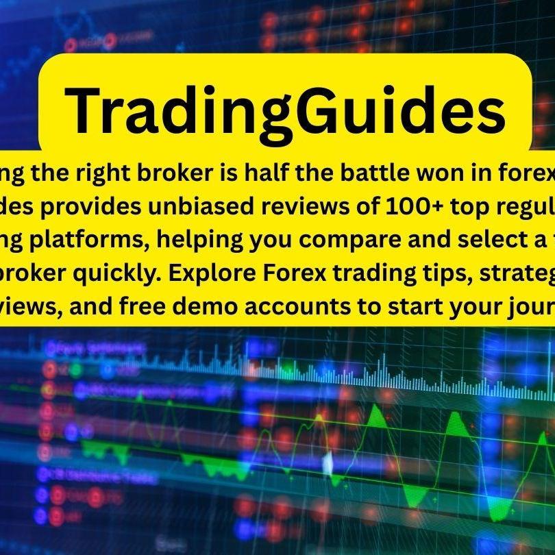 Trading Guides